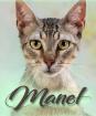 Manel - jung und verspielt